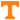 Tennessee Volunteers